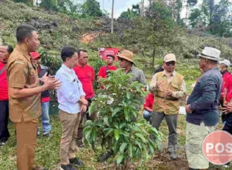 Tutup Bulan Bung Karno, Adi Wiryatama Ajak Petani Tabanan Gotong Royong Tanam Alpukat 