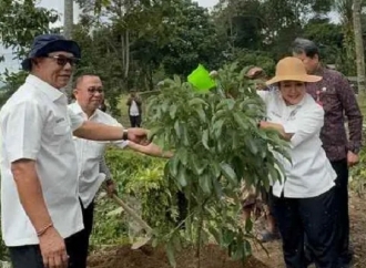 Adi Wiryatama: Pertanian yang Kuat Tulang Punggung Ketahanan Pangan Daerah