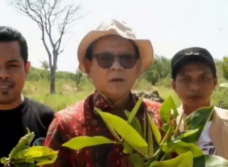 Rokhmin Dahuri: Reboisasi Mangrove Kunci Jaga Ekosistem Pesisir