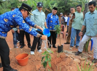 Parosil Bagikan Ratusan Bibit Pohon Alpukat Siger ke Masyarakat di Pekon Suka Pura