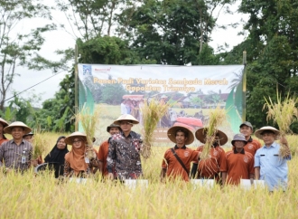 Danang Maharsa Pimpin Panen Raya Padi Organik Varietas Sembada Merah