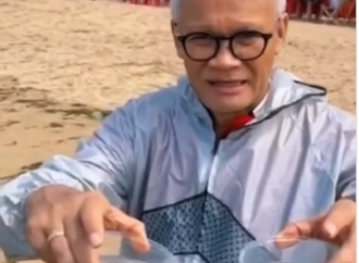 Aria Bima Sebut Setiap Telur Penyu yang Menetas, Ada Harapan Baru Laut yang Sehat