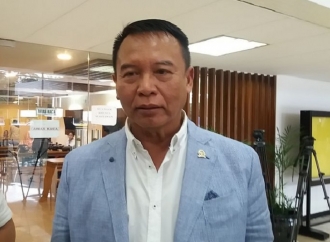 Soal Wakil Panglima, TB Hasanuddin: Tidak Akan Ada Matahari Kembar Dalam Internal TNI