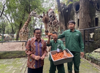 Pramono Minta Harga Tiket, Kantong Parkir Hingga Sarana Pengunjung Margasatwa Ragunan Diperbaiki