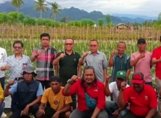 Habsi Wahid Dampingi Agus Ambo Djiwa Berdialog dan Serahkan Alsintan ke Petani di Kalukku