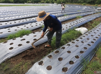 Yudea Dorong Masyarakat Lebih Produktif Manfaatkan Lahan-Lahan yang Tak Terpakai 