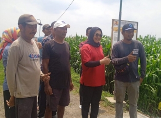 Sadarestuwati Tinjau Pelaksanaan P3-TGAI di Himpunan Petani Pemakai Air (HIPPA) Tirto Rahayu