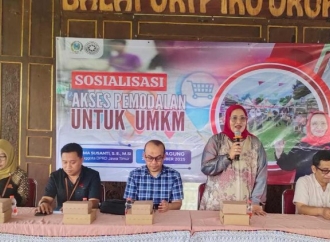 Erma Jelaskan Strategi Pengembangan UMKM