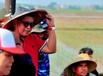 Rokhmin Dahuri: Komitmen PDI Perjuangan Sejalan dengan Presiden Prabowo Jaga Ketahanan Pangan
