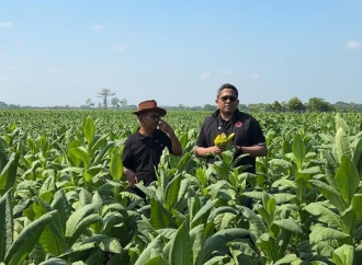 Turun ke Sawah, Agus Black Soroti Pertanian di Ngawi
