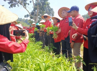 Hari Tani Nasional, Banteng Kepri Turun Langsung ke Akar Rumput, Dengar Keluhan Petani Tembesi