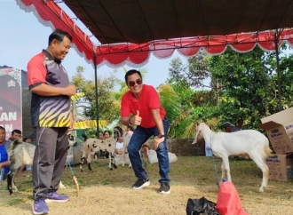 Menebar Harapan dari Kebun Kelapa Pandan Wangi: Kisah Soma Adnyana, Kader PDI Perjuangan Buleleng