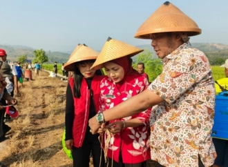 Bupati Kendal Pastikan Kebutuhan Pupuk Petani Terpenuhi