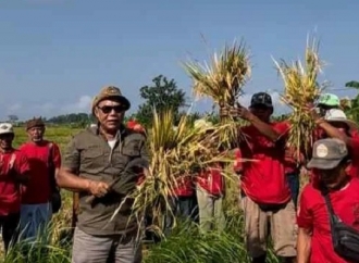 Adi Wiryatama Blusukan ke Sawah: Kalau Petani Sejahtera, Indonesia Pasti Bangkit 