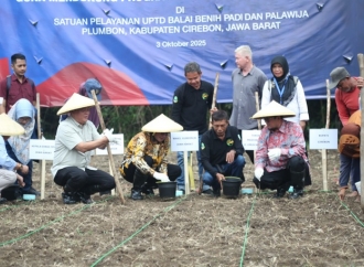 Bupati Imron Dorong Sorgum Jadi Alternatif Pangan Unggulan Cirebon