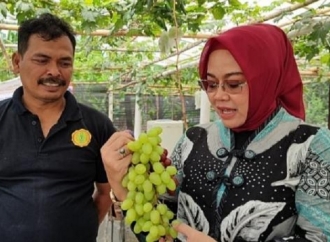 Ida Nurlaela Resmikan Greenhouse Kebun Anggur Taruna Tani Mekar Bayu di Pangandaran