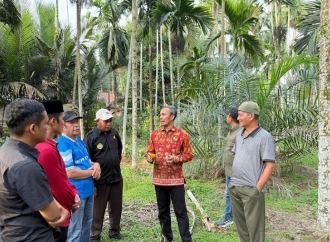 Edi Purwanto Perjuangkan Pinang Masuk Komoditas Strategis Nasional