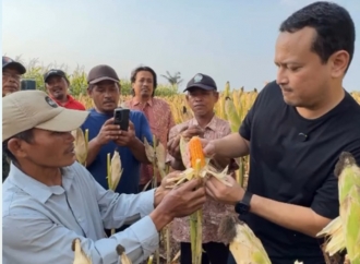 Banyu Djarot Serap Aspirasi Petani Jagung di Nganjuk, Komitmen Wujudkan Kedaulatan Pangan