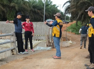 Tjhai Chui Mie Tinjau Proyek Jembatan dan Sport Center Hingga Area Kuliner di Lapangan Tarakan
