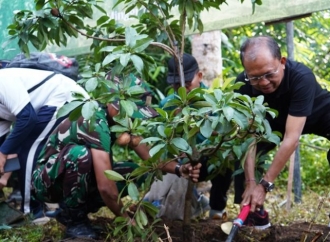 Koster Yakini Penanaman Pohon yang Rutin Dapat Wujudkan Target Tutupan Hutan