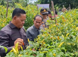 Paolus Hadi Serahkan Bantuan Benih Padi dan Jagung ke Poktan di Dusun Ranti Pendek, Desa Gembaraya, Kec Kelam Permai