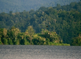 Enos Dorong Pemda Sigi Kembangkan Danau Lindu Jadi Destinasi Wisata Unggulan