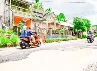 Citra Pitriyami Tinjau Langsung Jalan dan Fasum di Beberapa Titik Kabupaten Pangandaran 