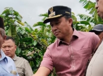 Parosil Mabsus Dorong Hadirnya Pabrik Kopi di Lampung Barat