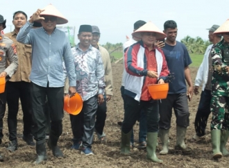 Askolani: Kabupaten Banyuasin Siap Jadi Nomor Satu Lumbung Pangan Nasional