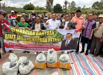 Rapidin Simbolon Bawa Benih Jagung P-32 Untuk Petani Kecil di Desa Gurgur