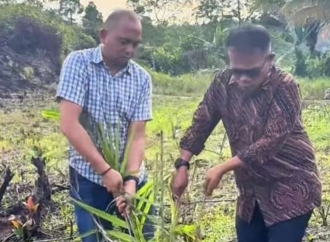 Masinton Ancam Cabut Izin Perusahaan Sawit di Tapteng Jika Plasma 20 Persen Tak Berjalan 2026