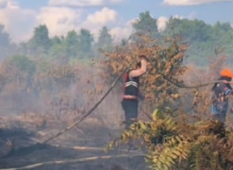 Rimbun Ingatkan Kondisi Hutan di Kotim Berada Pada Tahap Mengkhawatirkan