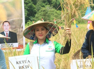 Tangan Dingin Karolin, Capaian LTT Padi Kabupaten Landak Tertinggi di Kalbar