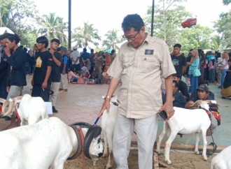 Ketua DPRD Ciamis Apresiasi Kontes Domba–Kambing Banjaranyar, Dorong Peternak Terus Berinovasi