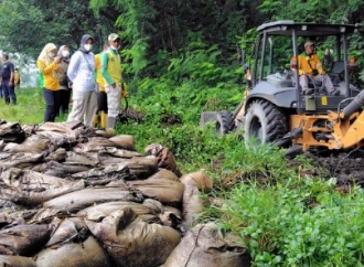 Respons Cepat Legislator Ngawi Atasi Limbah Kohe yang Timbulkan Bau Busuk di Jalur Solo–Ngawi