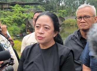 Puan Minta Pemerintah Pusat dan Daerah Lebih Efektif, Lebih Baik, Lebih Tanggap Tangani Bencana
