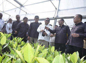 Agus Ambo Djiwa: Konsistensi Kualitas Bibit Kunci Keberhasilan Rehabilitasi Lahan