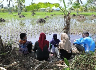 Tjhai Chui Mie Perkuat Infrastruktur Pertanian, Tinjau Langsung Progres Pengerjaan JIAT di Kelurahan Naram