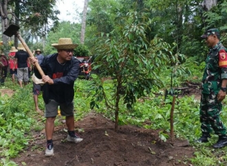 Darul Hasyim Fath Tanam Ratusan Pohon Durian di Dusun Baru