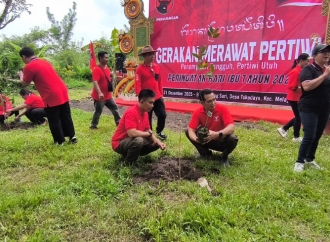 Peringati Hari Ibu, Banteng Bali Tanam Pohon di Hutan Sombang