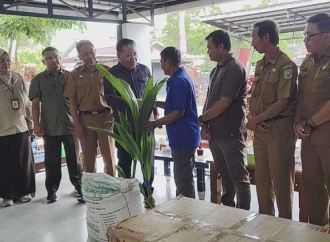 Paolus Hadi Dorong Produksi Kelapa Dalam di Sanggau, Pemerintah Akan Buka 100 Ha 