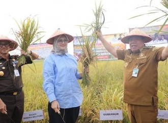 Bangka Selatan Terbaik Jadi Kabupaten Pangan Aman