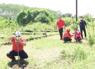 HUT ke-79 Megawati, Banteng Kabupaten Malang Tanam Pohon di Pantai Donomulyo