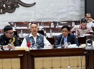 Antara Narasi dan Realitas Ekonomi