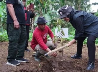 Bupati Ipuk Bersamai PDI Perjuangan Banyuwangi Tanam Pohon dan Tebar Benih Ikan di Sumber Waras