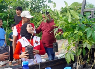 Jalani Perintah Ketum untuk Rawat Pertiwi, PDI Perjuangan Kendari Tanam 200 Tabebuya