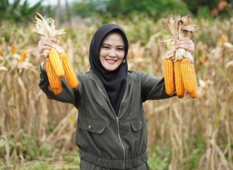 Sarifah Ainun Jariyah Hadiri Panen Jagung di Serang: Jadikan Banten Lumbung Pangan