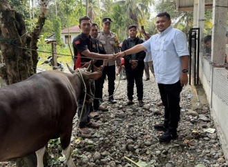 Jamaluddin Idham Serahkan Bantuan Sapi Kepada Keluarga Syuhada GAM di Nagan Raya