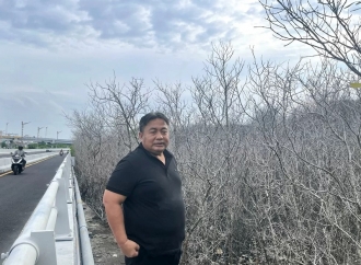 Nyoman Parta Desak Pelindo Jelaskan Kematian Mendadak Ratusan Mangrove di Pesisir Bonoa