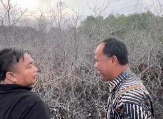 I Nyoman Parta: Pertamina Patra Niaga Akui Rembesan Minyak Sebabkan Matinya Ratusan Mangrove di Benoa